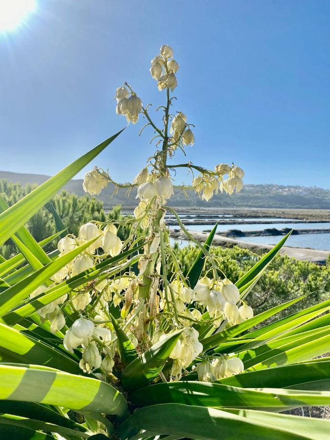 Herdade D' Amoreira Aljezur Buitenkant foto